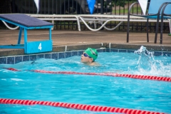 Swim Meet at Falcon Woods