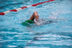 Swim Meet at Falcon Woods
