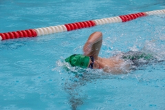 Swim Meet at Falcon Woods
