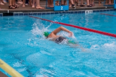 Swim Meet at Falcon Woods