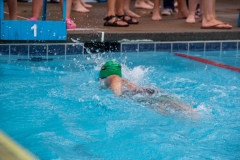 Swim Meet at Falcon Woods