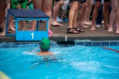Swim Meet at Falcon Woods