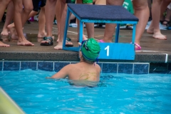 Swim Meet at Falcon Woods