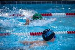 Swim Meet at Falcon Woods