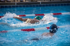 Swim Meet at Falcon Woods
