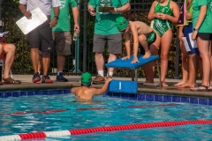 Swim Meet at Woodbine Station