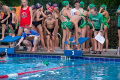 Swim Meet at Woodbine Station
